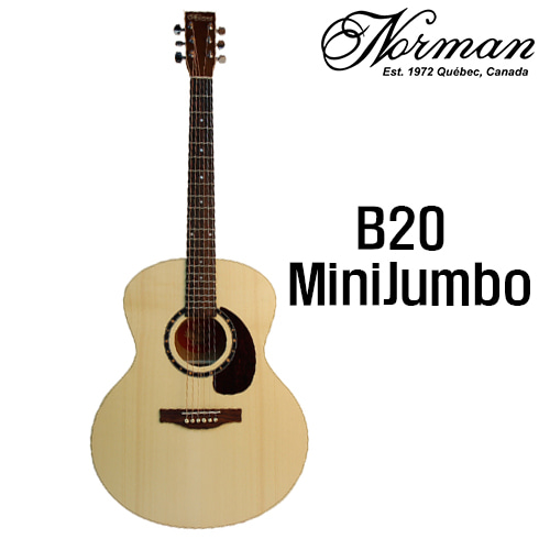 노먼 B20 MiniJumbo / Norman B20 MiniJumbo [네이버톡톡/카톡 AMA-zing 추가인하]