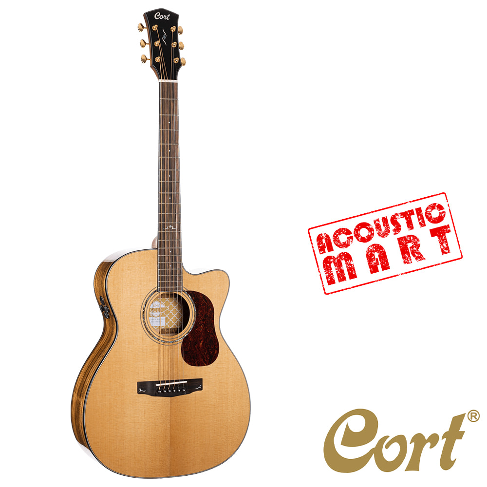 콜트 Gold OC6 Bocote OM 컷 픽업 올솔리드 기타 [네이버톡톡/카톡 AMA-zing 추가인하]